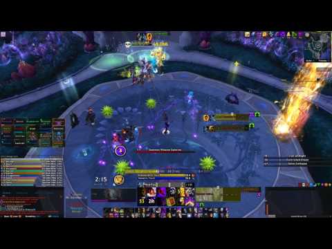 Spike Flail vs. Mythic High Botanist - SPriest PoV