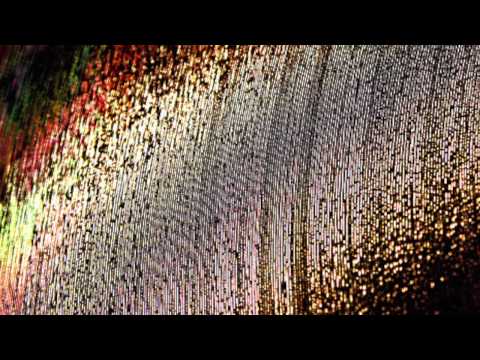 Kokee "The Nose" Anu & Korin Ladke - Shake Down