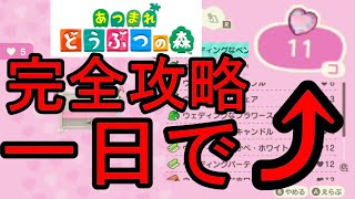あつまれどうぶつの森　ジューンブライド完全攻略！！