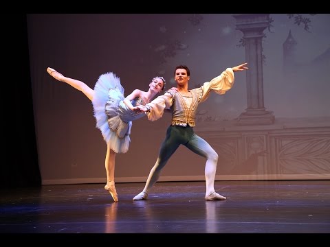 Paul Marque and Charlotte Rose, Bluebird and Florine - The Sleeping Beauty - DDA Performance 2016