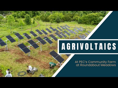 Introducing PEC's Groundbreaking Agrivoltaics Project!