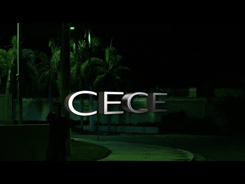 TripTrap - CECE (visualizer)