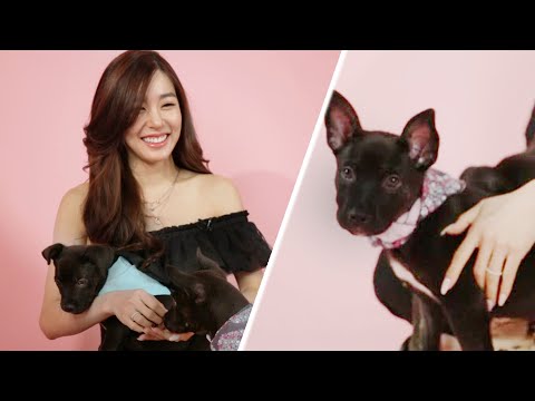 Tiffany Young Plays With Puppies While Answering Fan Questions