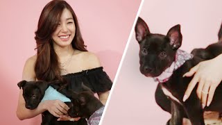Tiffany Young Plays With Puppies While Answering Fan Questions