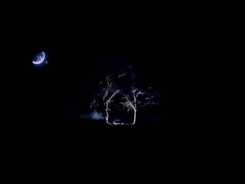 Danju feat. Cro und Teesy - Tag & Nacht