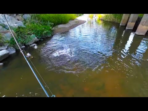 How I find my good fishing spots. Fishing tips