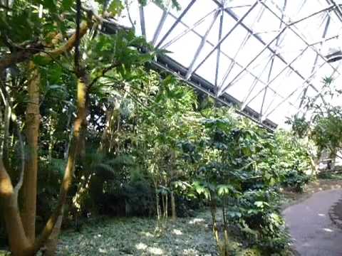 Seogwipo View Jeju, Ilha de Jeju, Coreia do Sul