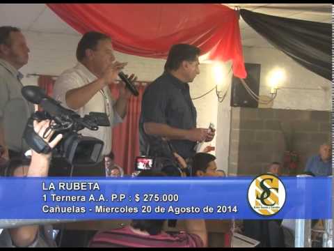 Cabaña La Rubeta - Hembras - Cañuelas - S.V.B. - 20/08/2014