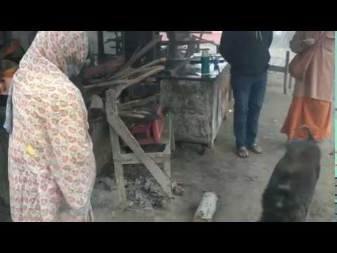 Dog at sudauli, shyam Sadhu and Varun Sharma Republic day (3)