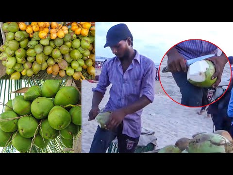Master Of Coconut Cutting | Amazing Coconut Cutting Skills | Indian Street Food