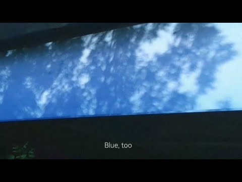 Blue Too - Lainey Jean