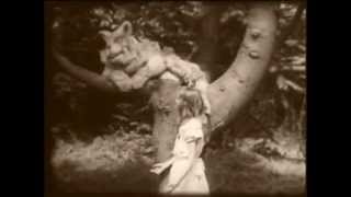 Badly Drawn Boy "Walking Out of Stride"