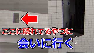 【検証】浮遊バグや壁抜けバグを駆使してフレンドの正体を暴く【The Classrooms】