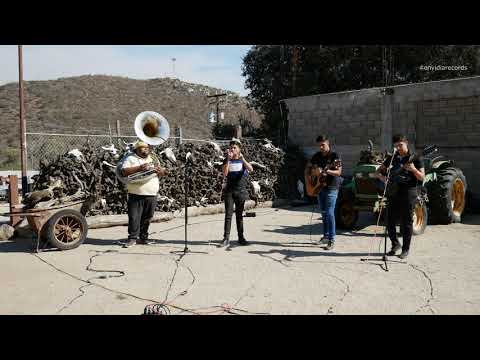 LOS PARIS - El Chimal [En Vivo / 4k]