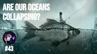 #43 Trevor Branch | How Many Fish Should We Leave In The Ocean?