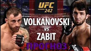 ЗАБИТ БЕЗ ШАНСОВ?! АЛЕКС ВОЛКАНОВСКИ vs ЗАБИТ МАГОМЕДШАРИПОВ НА UFC 242! ЧЬЯ БОРЬБА И УДАРКА КРУЧЕ?