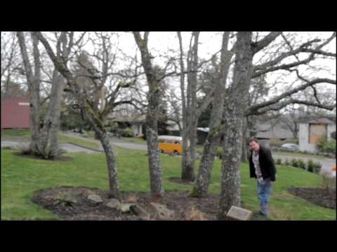 Happy Birthday, Kelly!