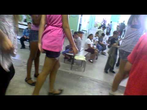 festa do folclore do leonor de oliveira mello