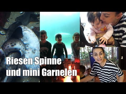 Unser Nachmittag im Aquarium | Angst vor Spinnen und aufgeregte Kinder | Familienvlog | Filiz