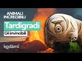 Chi Sono I Tardigradi Gli Orsetti D Acqua Che Sono Tornati Dallo Spazio