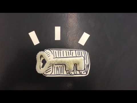 Enzymes & Coenzymes - Stop Motion Movie