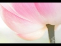 大悲咒唱頌The Great Compassionate Mantra - 黃慧音 ...