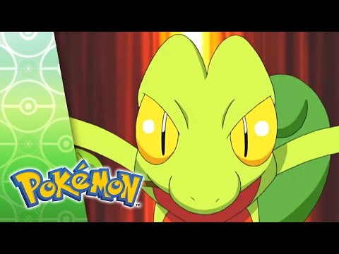 Die Melonenmeisterin | POKÉMON  – GANZE FOLGE 1 | Staffel 7