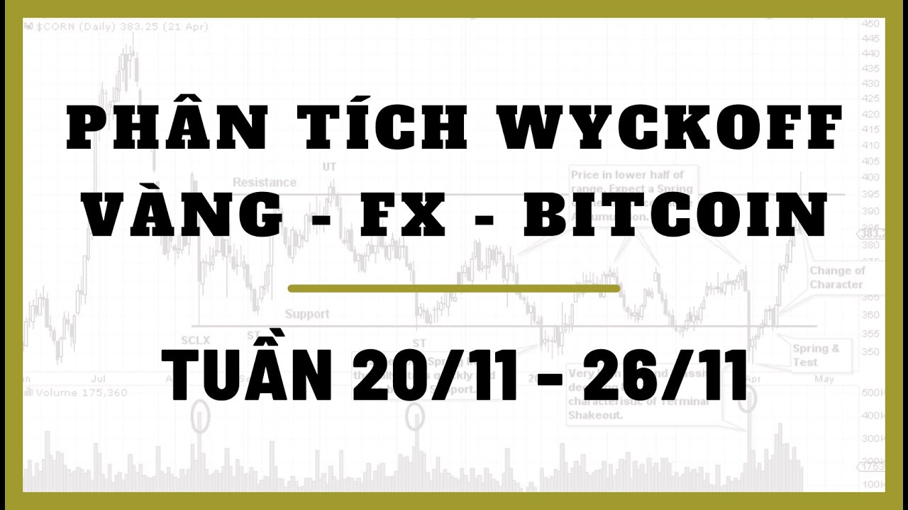 Phân Tích VÀNG-FOREX-BITCOIN Tuần 20-26/11 Theo Phương Pháp WYCKOFF