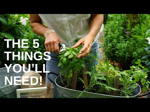 Planting Herbs in One Container: Rosemary, Sage, Basil, Oregano, Thyme, Dill, & Parsley