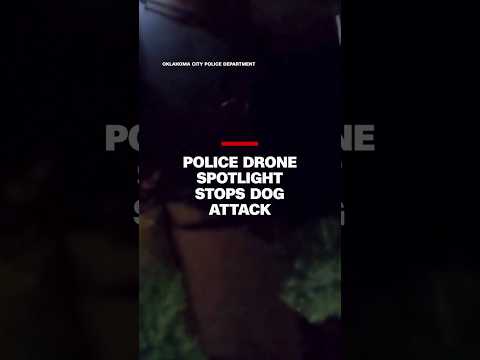 Police drone spotlight stops dog attack