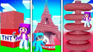 Minecraft SECRET TnT Tek Bir Videoda Patlattım!