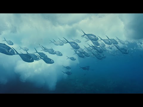 I principali inquinanti delle acque