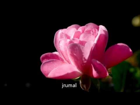 Bindumathee - බිංදුමතී