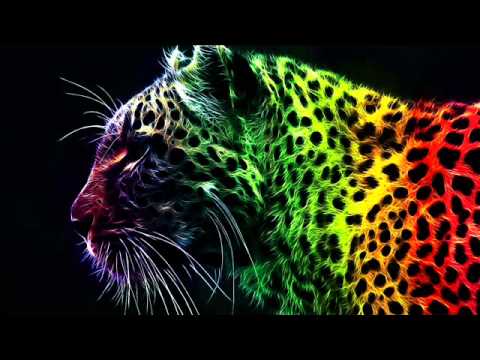 Jus Jack vs SHM - Leave The World Behind Stars (NED Mashup)