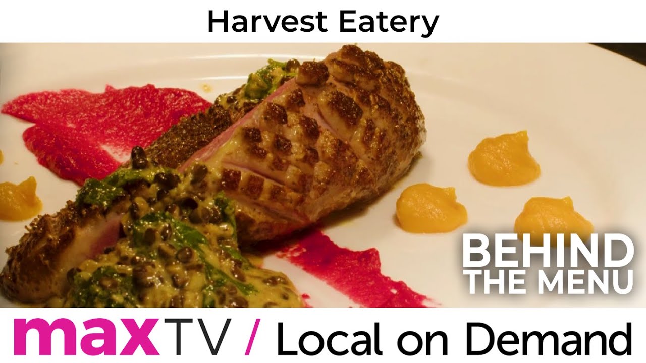 Behind The Menu: Harvest Eatery - SaskTel maxTV Local on Demand