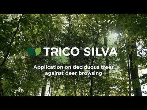TRICO® SILVA: Application on deciduous trees against deer browsing