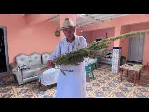 Traditional Moroccan Hash Making with Steve DeAngelo - Part One