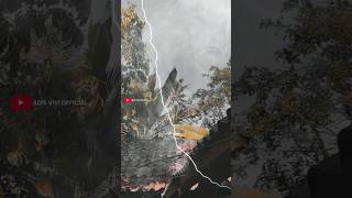 Download lagu sampai berasap tersambar petir saat hujan deras pohon kelapa langsung tumbang mp3