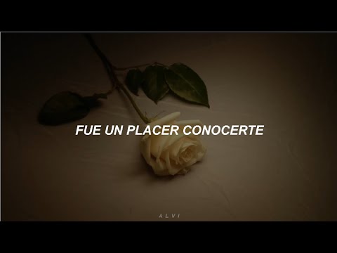 Fue un placer conocerte // Letra