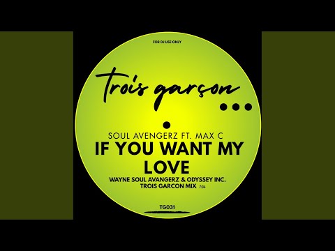 If You Want My Love (Wayne Soul Avengerz & Odyssey Inc. Trois Garcon Mix)
