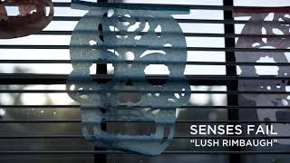 Lush Rimbaugh Music Video