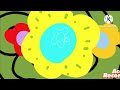 Cornelius: Count 5 or 6