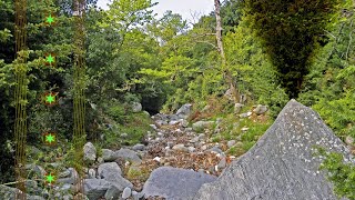 Saga - Breathing Lessons