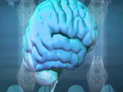 Rife Frequency | Arnold-Chiari Malformation | Binaural Beats | 1989 sound wave