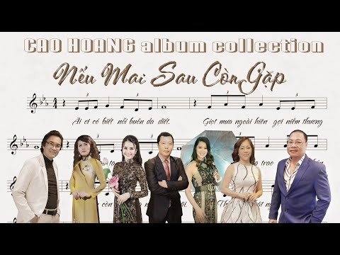 Nếu mai sau còn gặp - Cao Hoàng