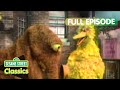 Big Bird Meets Mr Snuffleupagus Sesame Street Classics Full Episode