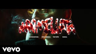 Marmellata Music Video