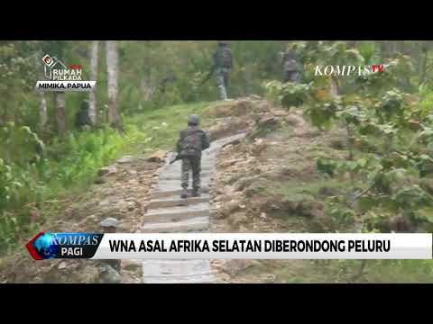 Bagaimana meningkatkan anggota lounger Amanita dan potensi