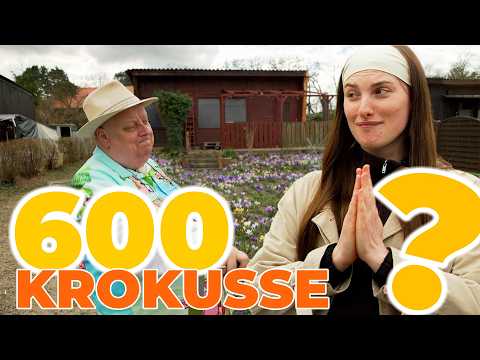 Vorschaubild: OMG. Was für ein FAIL! Wie schade ist das denn bitte?!