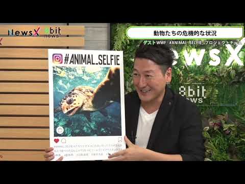 世界の絶滅危惧種の動物たち